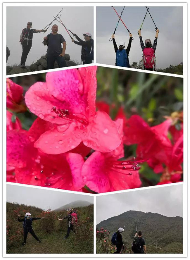 3月29日，云浮新興縣登天麓山&賞杜鵑花