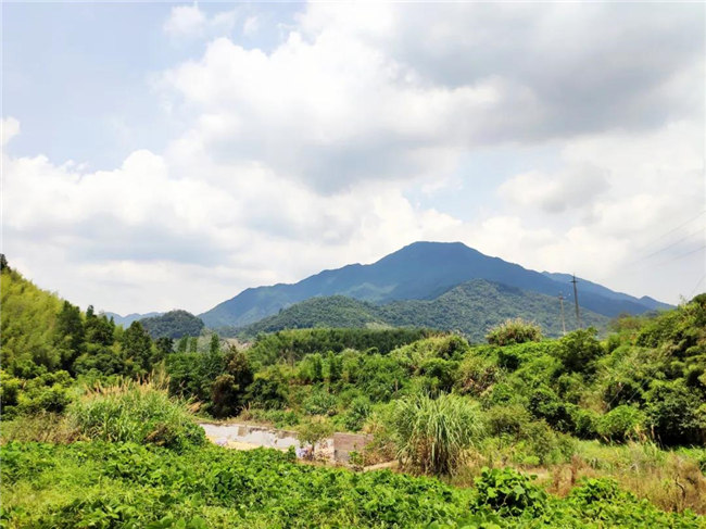 呼吸鮮氧，踐行公益——廣東博皓公益活動：星溪線公益環(huán)?；顒?  -6