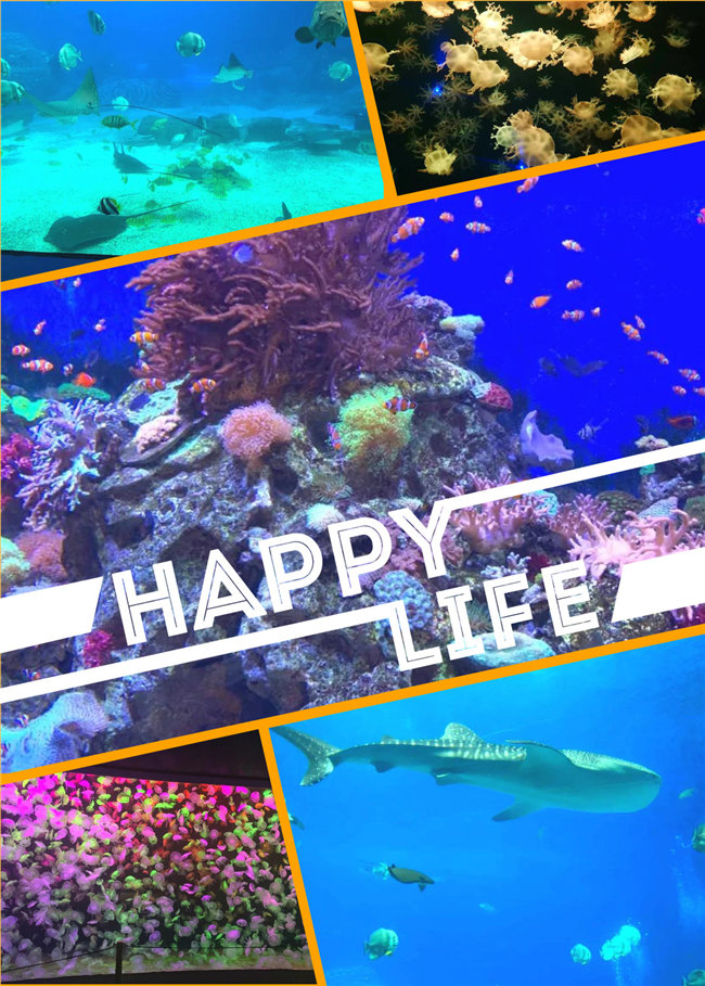 廣東博皓親子游：珠海長隆海洋王國，探索海洋生物的奧秘，奇妙的動物世界