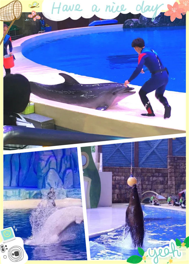 廣東博皓親子游：珠海長隆海洋王國，探索海洋生物的奧秘，劇場表演