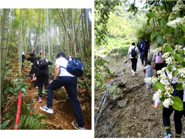 博行天下俱樂部走進(jìn)從化十登的第二峰-雞枕山 -4