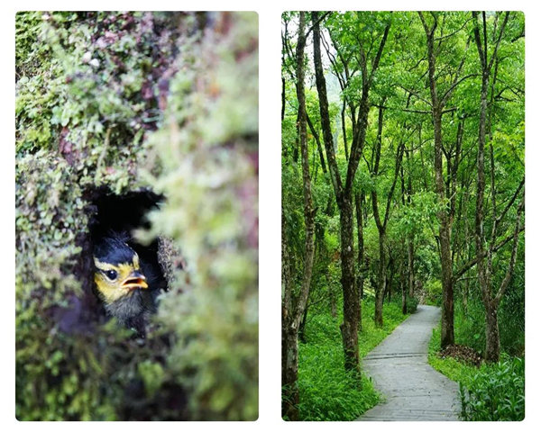 多彩貴州，魅力天下，2021年廣東博皓快樂貴州行-24