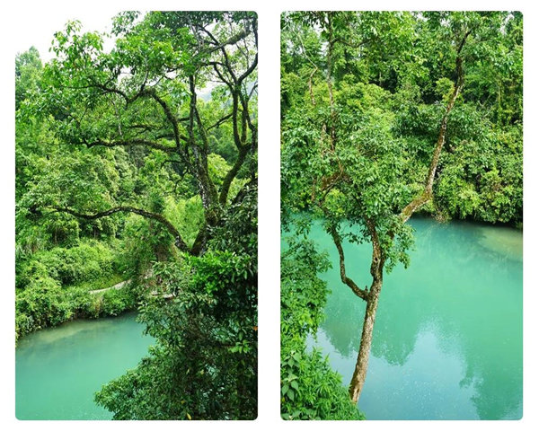 多彩貴州，魅力天下，2021年廣東博皓快樂貴州行-29