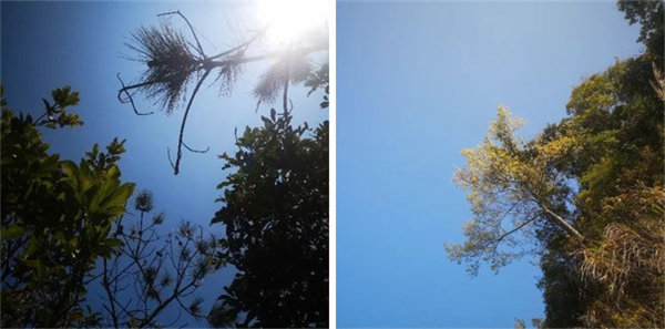 廣東博皓 博行天下丨虎年第一爬，挑戰(zhàn)從化老虎頭   -1