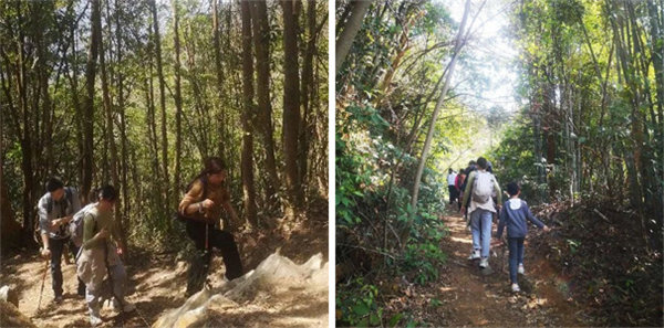 廣東博皓 博行天下丨虎年第一爬，挑戰(zhàn)從化老虎頭   -2