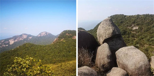 廣東博皓 博行天下丨虎年第一爬，挑戰(zhàn)從化老虎頭   -4