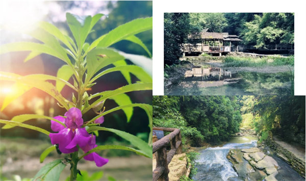 “湘”約鳳凰，相守未來——2022博皓快樂湖南行    -34