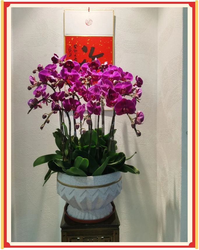 廣東博皓開工大吉丨金虎騰躍，兔來(lái)運(yùn)轉(zhuǎn)           -23