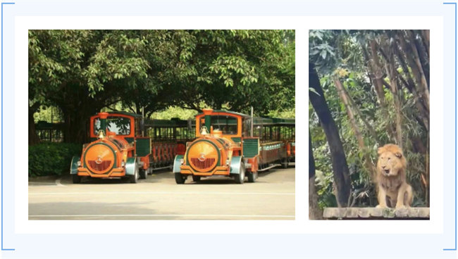 大手牽小手，快樂(lè)親子游！廣東博皓2023年親子游活動(dòng)        -7