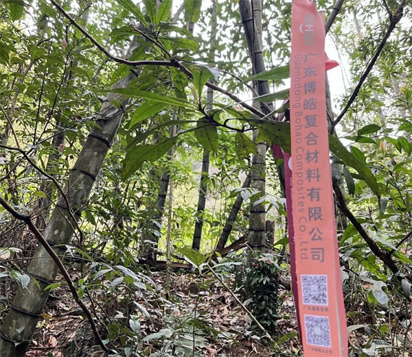 凝心聚力再出發(fā)，風(fēng)雨同舟赴星溪！--廣東博皓2024龍年首登星溪之旅     -2